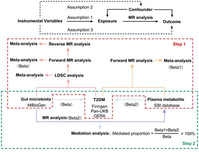 Genetic associations between gut microbiota and type 2 diabetes mediated by plasma metabolites: a Mendelian randomization study